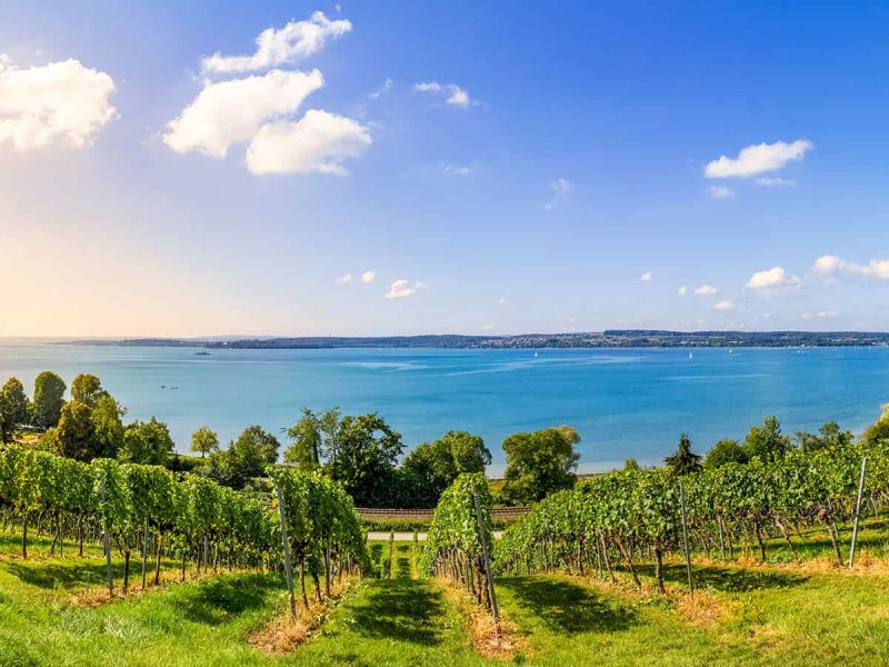 Bodensee Panorama In Birnau, Baden Württemberg, Deutschland Bodensee Panorama In Birnau, Baden Württemberg, Deutschland